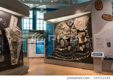 皇家安大略博物館的展覽 143312293
