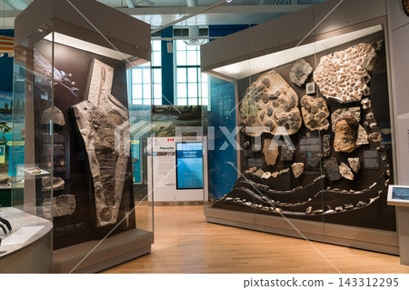 皇家安大略博物館的展覽 143312295