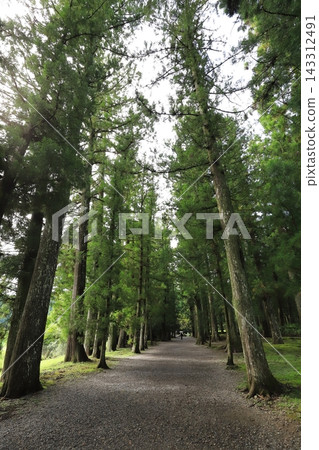 熊野主神社 熊野主神社 143312491