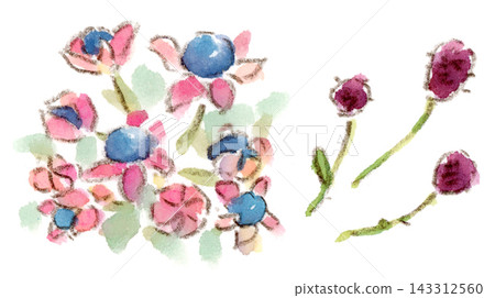 一幅秋季植物的水彩插圖:藍花楹(Clerodendrum trichotomum)的藍色漿果和地榆(Sanguisorba officinalis)的紅色花朵。 一幅秋季植物的水彩插圖:藍花楹(Clerodendrum trichotomum)的藍色漿果和地榆(Sanguisorba officinalis)的紅色花朵。 143312560