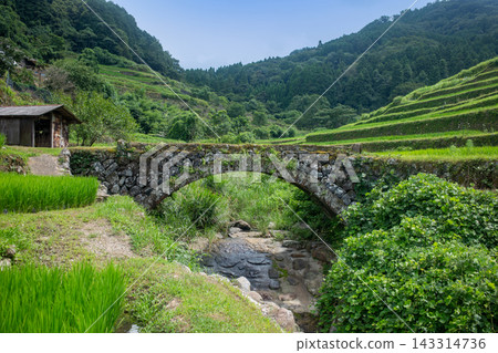 醫院裡的良愛川橋和水稻梯田 醫院裡的良愛川橋和水稻梯田 143314736
