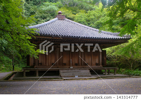 Fukiji Temple Odo and fresh greenery 143314777