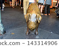 The famous Rachel Pig statue and donation box that attracts tourists around Pike Place Market in Seattle, USA. 143314906