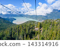 The yellow cabins of the Squamish Sea-to-Sky Gondola in Canada offer breathtaking panoramic views as they ascend above evergreen coniferous forests. 143314916