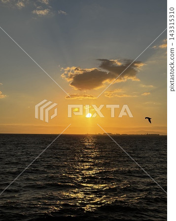 鳥兒飛翔在金色的海面和落日的天空之間。 鳥兒飛翔在金色的海面和落日的天空之間。 143315310