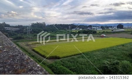 因颱風臨近,黃昏時分開始收割(2026年9月18日)秩父鐵道7000系列列車開往三峰口站,秋色宜人。 因颱風臨近,黃昏時分開始收割(2026年9月18日)秩父鐵道7000系列列車開往三峰口站,秋色宜人。 143315362