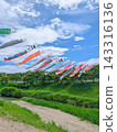 Carp streamers swimming towards the sky in Ichihara City, Chiba Prefecture. 143316136