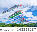 Carp streamers swimming towards the sky in Ichihara City, Chiba Prefecture. 143316137