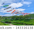 Carp streamers swimming towards the sky in Ichihara City, Chiba Prefecture. 143316138