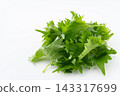 Macrophyll  143317699
