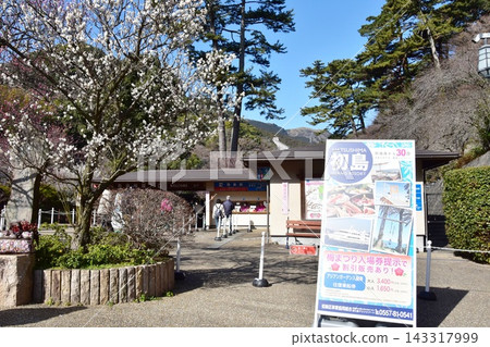 熱海梅園入口和盛開的白梅花,靜岡縣熱海市。 熱海梅園入口和盛開的白梅花,靜岡縣熱海市。 143317999