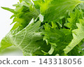 Close-up of perilla leaves 143318056
