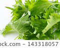 Close-up of perilla leaves 143318057