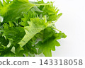 Close-up of perilla leaves 143318058