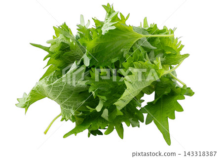Transparent background shiso leaf cutout material 143318387