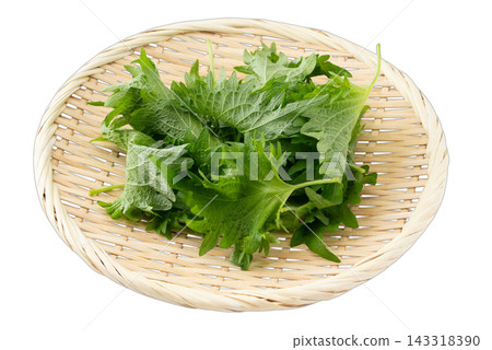 Transparent background shiso leaf cutout material Transparent background shiso leaf cutout material 143318390