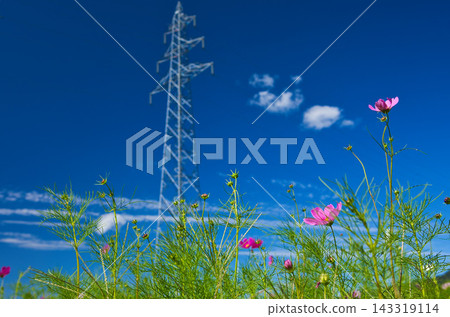 The arrival of autumn The arrival of autumn 143319114