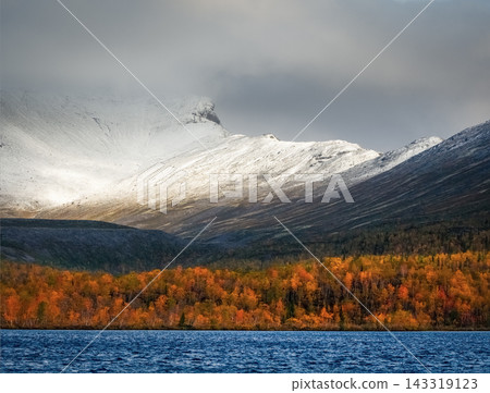Autumn forest by the lake with snow-covered mountains. Beautiful scenic landscape of a northern water reservoir with golden trees and snowy ridges under a cloudy sky. Autumn forest by the lake with snow-covered mountains. Beautiful scenic landscape of a northern water reservoir with golden trees and snowy ridges under a cloudy sky. 143319123