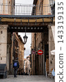 Spanish pathway 143319135