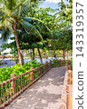 Phu Quoc Island, Vietnam - January 3 2026: Tropical garden walkway with palm trees on Phu Quoc Island 143319357