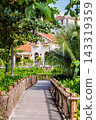 Phu Quoc Island, Vietnam - January 3 2026: Tropical garden walkway with palm trees on Phu Quoc Island 143319359
