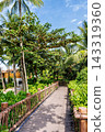 Phu Quoc Island, Vietnam - January 3 2026: Tropical garden walkway with palm trees on Phu Quoc Island 143319360