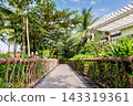 Phu Quoc Island, Vietnam - January 3 2026: Tropical garden walkway with palm trees on Phu Quoc Island 143319361