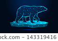 Low poly wireframe polar bear standing on ice floe on dark blue background. 143319416