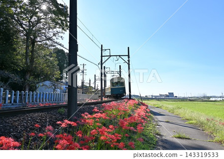 彼岸花和三岐鐵道北成線的迷你火車 彼岸花和三岐鐵道北成線的迷你火車 143319533