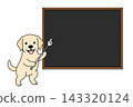 拉布拉多犬用指示棒指向黑板的插圖（留白） 143320124