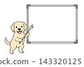 拉布拉多犬用指示棒指向白板的插圖（留白） 143320125