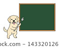 拉布拉多犬用指示棒指向黑板的插圖（留白） 143320126