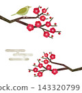 一套日式水彩插畫，描繪了紅梅花和夜鶯。 143320799