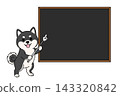 一隻黑色柴犬用教鞭指向黑板的插圖（留白） 143320842
