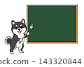 一隻黑色柴犬用教鞭指向黑板的插圖（留白） 143320844
