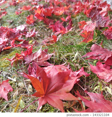 楓葉,紅葉湖,秋葉 楓葉,紅葉湖,秋葉 143321104