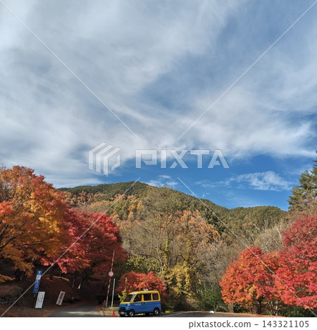 楓葉，紅葉湖，秋葉 143321105