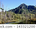 A tranquil scene of dead trees standing in the clear blue sky of Kamikochi's Dakesawa Marsh, with the mountains towering in the background. 143321200