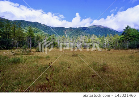 上高地田代濕地的草地和遠處的山脈在藍天的映襯下，秋色漸濃，讓人感受到秋天的到來。 143321460