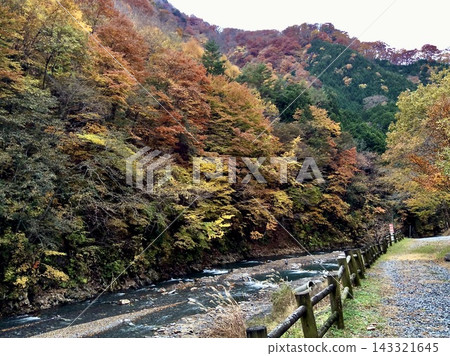 山澗溪流和河畔步道點綴著秋葉，森林變成紅色和黃色，構成了一幅自然景觀。 143321645