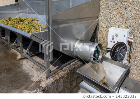 Winemaking machinery actively crushing freshly harvested green grapes, separating juice from pomace and stalks in a stainless steel destemmer and press for wine production Winemaking machinery actively crushing freshly harvested green grapes, separating juice from pomace and stalks in a stainless steel destemmer and press for wine production 143322332