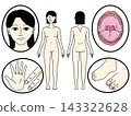 A communication board focusing on faces and bodies, with a feminine touch. 143322628