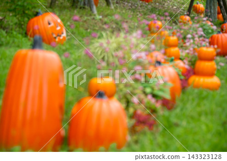 Halloween pumpkin and autumn landscape Halloween pumpkin and autumn landscape 143323128
