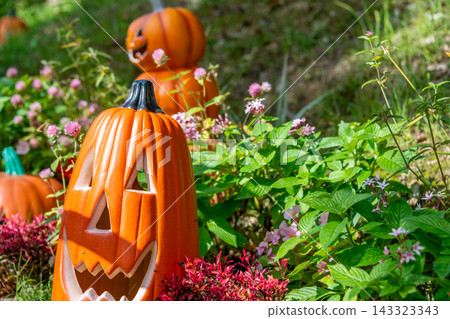 Halloween pumpkin and autumn landscape Halloween pumpkin and autumn landscape 143323343