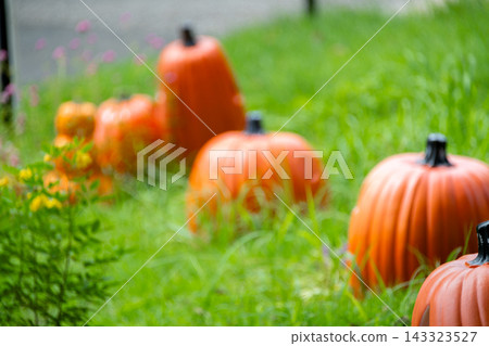 Halloween pumpkin and autumn landscape Halloween pumpkin and autumn landscape 143323527