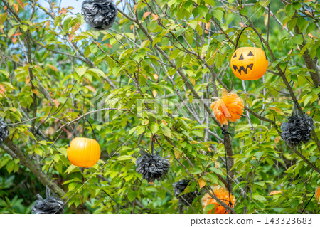 Halloween pumpkin and autumn landscape Halloween pumpkin and autumn landscape 143323683