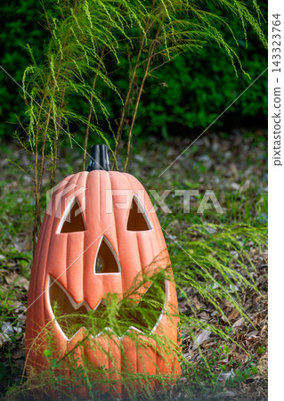 Halloween pumpkin and autumn landscape Halloween pumpkin and autumn landscape 143323764