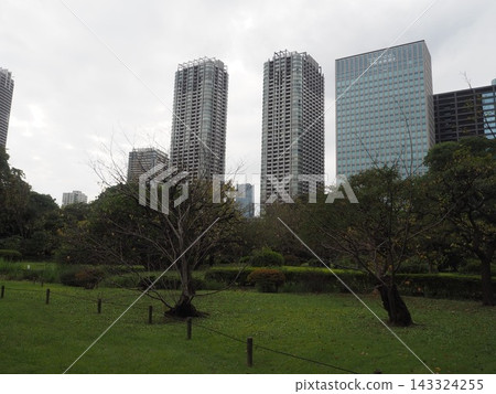 濱離宮庭園的蔥鬱綠意與薰留的摩天大樓交相輝映。 濱離宮庭園的蔥鬱綠意與薰留的摩天大樓交相輝映。 143324255