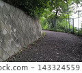 一條坡度較大的道路，兩側有混凝土擋土牆，周圍綠樹環繞——典型的住宅街道。 143324559