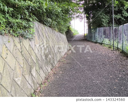 一條坡度較大的道路，兩側有混凝土擋土牆，周圍綠樹環繞——典型的住宅街道。 143324560